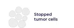 Illustration of Stopped tumor cells